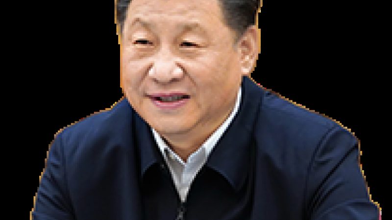 木材胶粘剂执行标准：了解与遵循的重要性